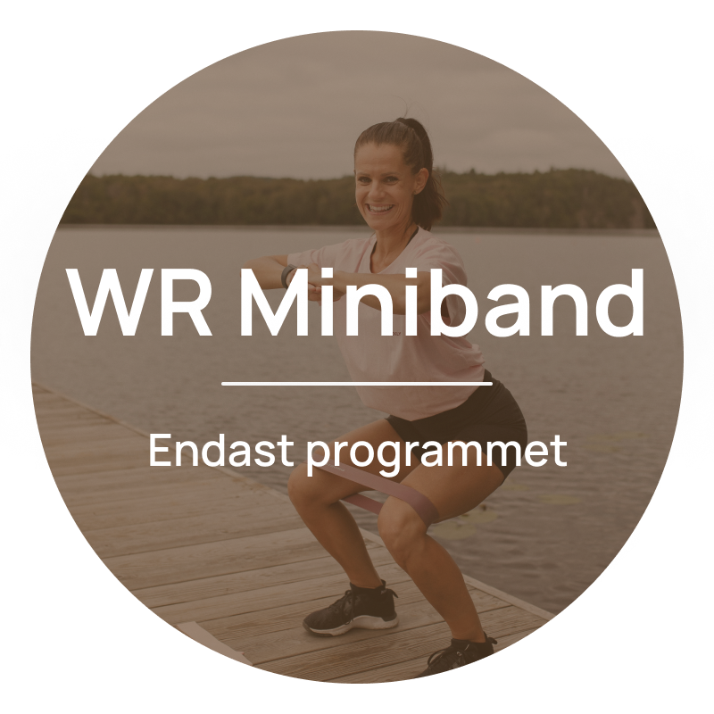 WR Miniband