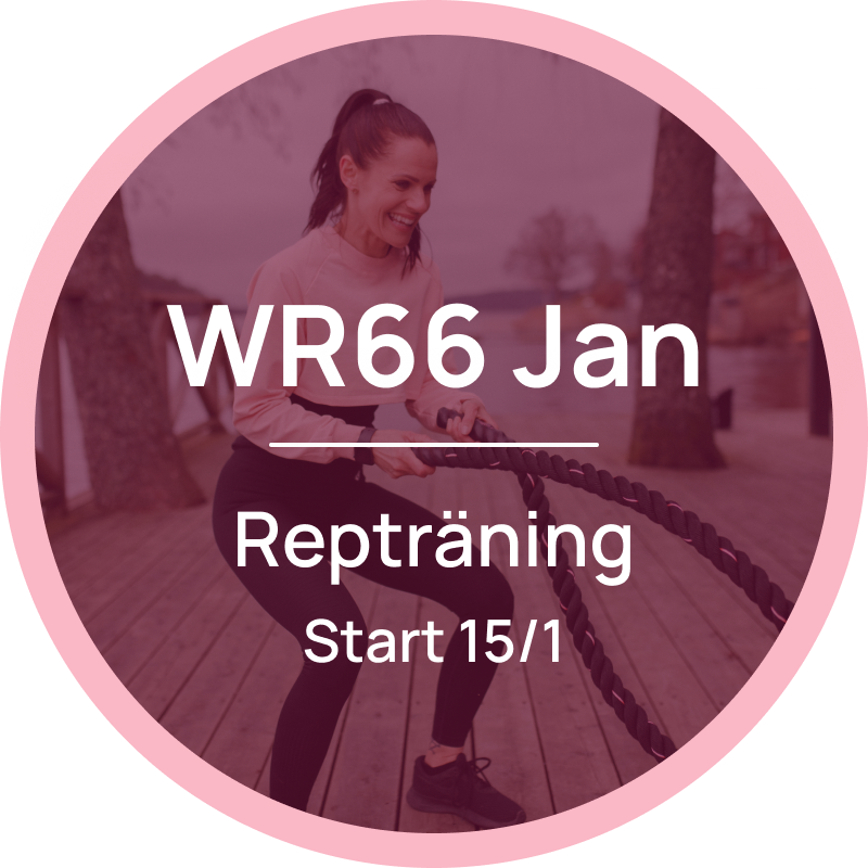 WR66 Rep, Januari 2024