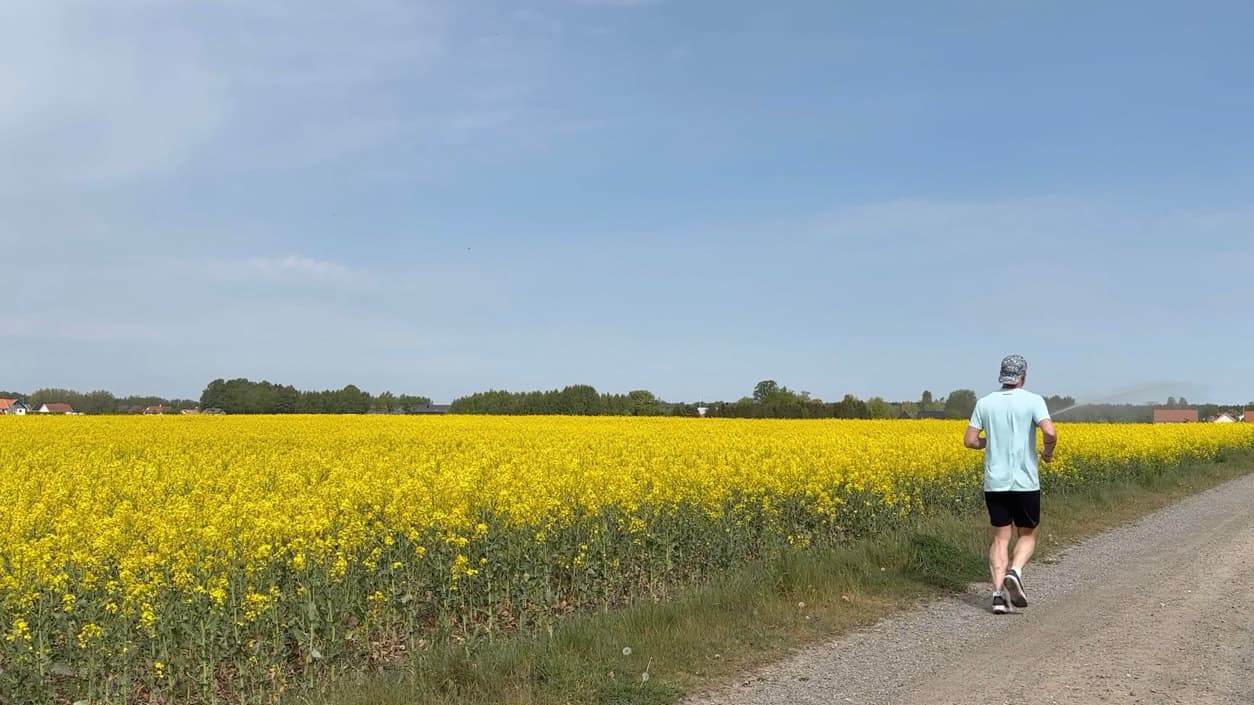 En man joggar på en vägkant bredvid ett stort gult blomfält.